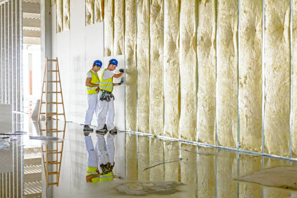 Best Insulation Maintenance and Repair in Midway, KY